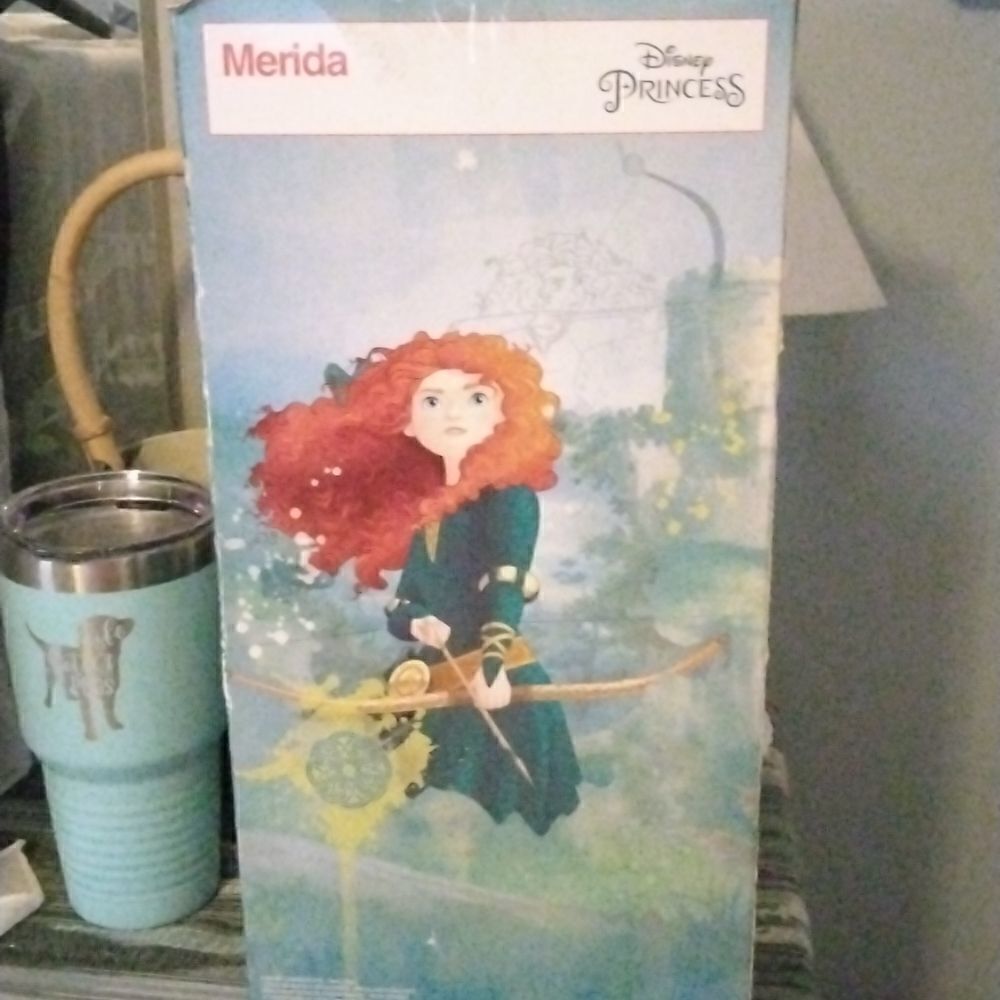 Merida - Picture 4 of 5